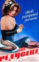 The Playgirl 1983 erotik film izle