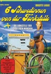 Sechs Schwedinnen von der Tankstelle Erotik Film izle