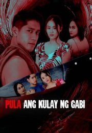 Pula ang Kulay ng Gabi izle