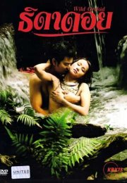 Wild Orchid Erotik Film izle