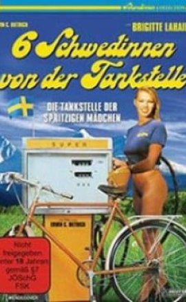 Sechs Schwedinnen von der Tankstelle Erotik Film izle